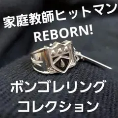 家庭教師ヒットマンREBORN! ボンゴレリングコレクション　雨