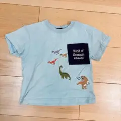 kladskap クレードスコープ 恐竜 Tシャツのサムネイル