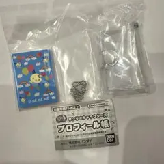 豆ガシャ本 サンリオキャラクターズ「プロフィール帳」 ウサハナ　Sanrio