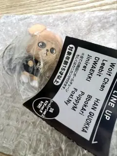 SKZOO つまんでつなげてますこっと　でらっくす！　ガチャ　PuppyM