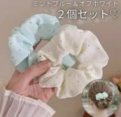 ビジュー付 シフォンシュシュ 2つセット オフホワイト ミントグリーン 春 ヘア