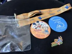 AULANI ディズニーメンバーシップ ホルダー バッジセット　4点セット