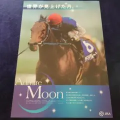 哀悼【非売品】ヒーロー列伝 ポスター NO.47 グラスワンダー B3サイズ グラスワンダー ポスター ヒーロー烈伝 Yahoo!オークション