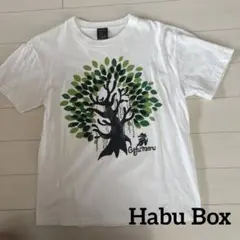 美品　Habu Box ガジュマル Tシャツ ホワイト Sのサムネイル