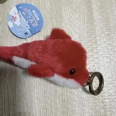 ぶるぶる！　ふわふわイルカのサムネイル
