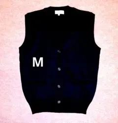 Item thumbnail for item 73864e7e-4b58-4842-92e2-b350a62bcff5