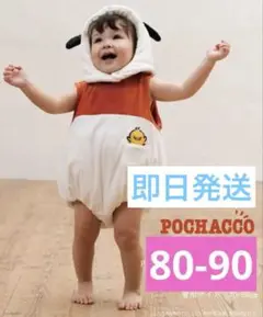 POCHACCO ポチャッコ　バースデイ　80cm - 90cm