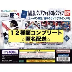 響*輝様 新品 MLB クリアファイル コレクション コンプ 12種 ガチャ ①