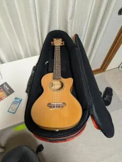 Item thumbnail for item 68a9e74f-cc3f-4fd8-9eed-5e3e0e446913