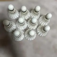 バドミントン中古シャトル10球