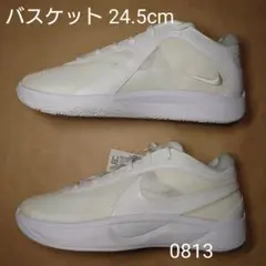 バスケット 28cm ナイキ ズームフリーク 6 TB EP - メルカリ