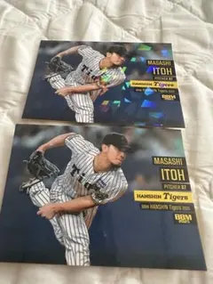 Item thumbnail for item e3edb457-228e-4dd3-9e4a-6a44a33c0d97