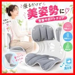姿勢矯正 骨盤サポートチェア 椅子 腰痛対策 洗えるカバー 座椅子 テレワーク