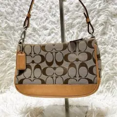 COACH signature accessory pouch y2k ベージュ