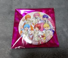 すとぷり　すとふぇすグッズ　2026　缶バッジ　全員　等身　②