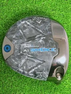 Item thumbnail for item 585a4744-ee16-417b-a76f-4e62ef8d3e29