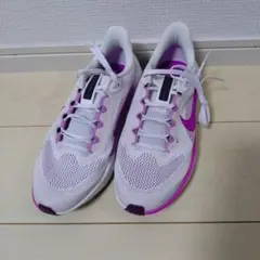 Item thumbnail for item 24e837a9-2eff-4206-8667-cc4548b0a703