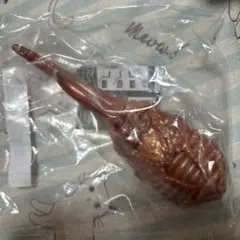 【いきもの大図鑑】カブトムシ10 ヘラクレスオオカブト (蛹)のサムネイル