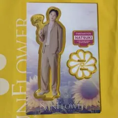 2026年最新】堀夏喜の人気アイテム - メルカリ