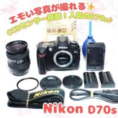 ✨Nikon D70s✨これ1台でOK レンズ交換不要の万能CCD機 高倍率 - メルカリ