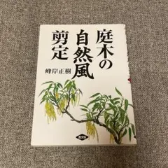 Item thumbnail for item 473a4830-f689-424e-a3cc-54c9ee81f8c9