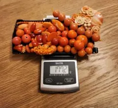 珊瑚 サンゴ まとめ売り