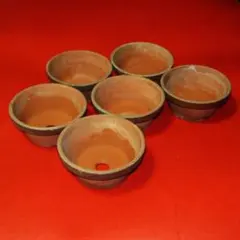 ✳️盆栽鉢✳️ 常滑焼 駄温鉢 浅型 5号×6