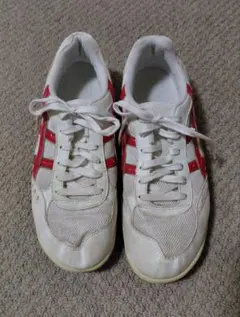 ASICS 室内スポーツシューズ 27cm