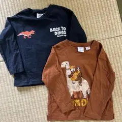 ZARA 恐竜デザイン 長袖カットソー 3歳　2枚セット