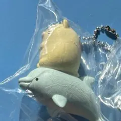 須磨シーワールド　すみっコぐらし　ガチャ　第二弾　イルカとネコ