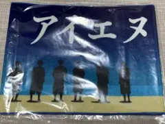 INI Survive FES タオル アイエヌアイと夏