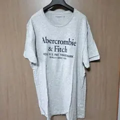 Abercrombie & Fitch Tシャツ XXL グレーのサムネイル