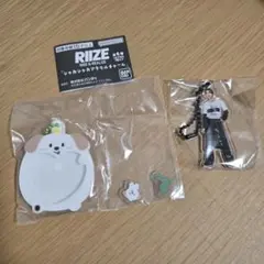 2025年最新】riize ランダムトイの人気アイテム - メルカリ