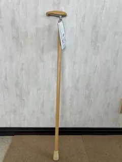 Item thumbnail for item e9a9d1be-ca7a-426b-ba21-3b8dc94410ee