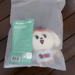 トゥバ TXT PPULBATU バムグッ ぬいぐるみ LGTWINS トゥバ TXT PPULBATU バムグッ ぬいぐるみ LGTWINS - メルカリ