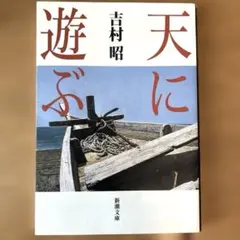 天に遊ぶ