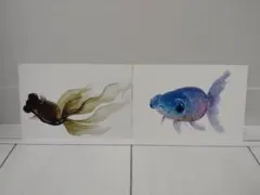 深堀隆介展 金魚 3Dポストカード - メルカリ