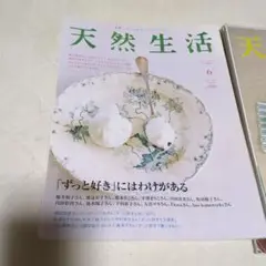 バックナンバー「天然生活」vol.29　2007.