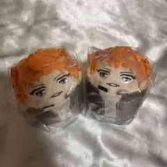 ヒプマイ もちころりん 理鶯