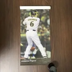 2026年最新】金本 ポスターの人気アイテム - メルカリ