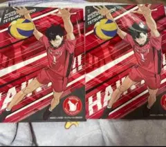 ハイキュー!! クリアファイル 2枚セット 音駒高校