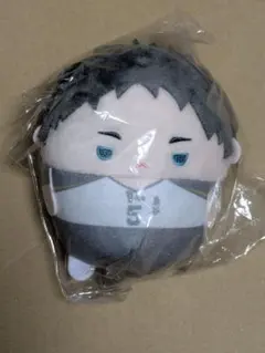 ラスト1点 ハイキュー くじメイト ぬいくじ D賞 ふわコロりん 赤葦京治