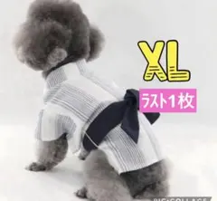 L 小型犬用☆夏服⭐︎夏祭り⭐︎浴衣☆着脱楽ちん 男の子 トイプー