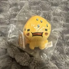 しずくちゃん　ぬいぐるみ　アセオ君