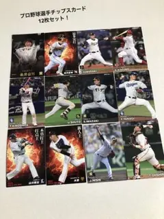プロ野球チップスカード　2023年12枚セット
