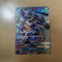 カイドウ　srパラレル
