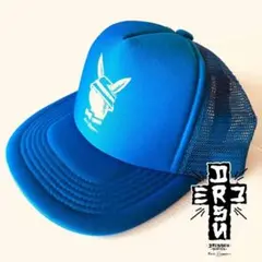 ◎数量限定！ 青 ドレッセンスケーツ ツアー記念キャップ！ スケートボードウエア