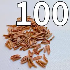 mk様 リクエスト 3点 まとめ商品