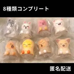 スキズ skzoo ライトマスコット コンプリート 8種セット　コンプ