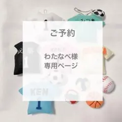 阪神タイガース】ダイヤモンドプラス特典 ミズノプロ アパレル4点